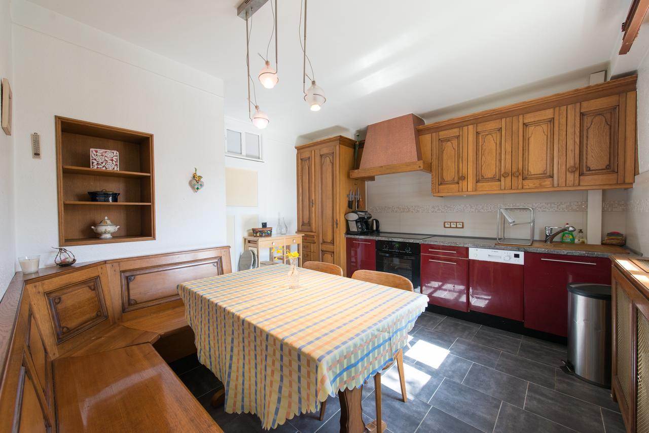 Appartement T3 Aux Deux Cigognes Gries Exteriér fotografie