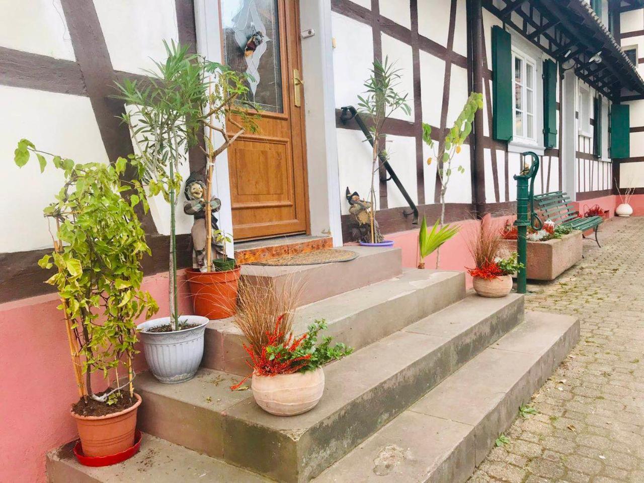 Appartement T3 Aux Deux Cigognes Gries Exteriér fotografie
